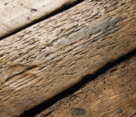 Woodworm Treatment