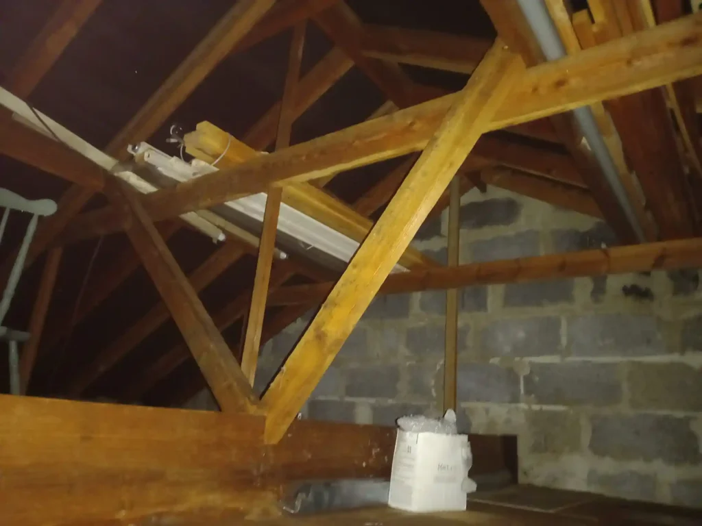 Local  Specialists in Basingstoke